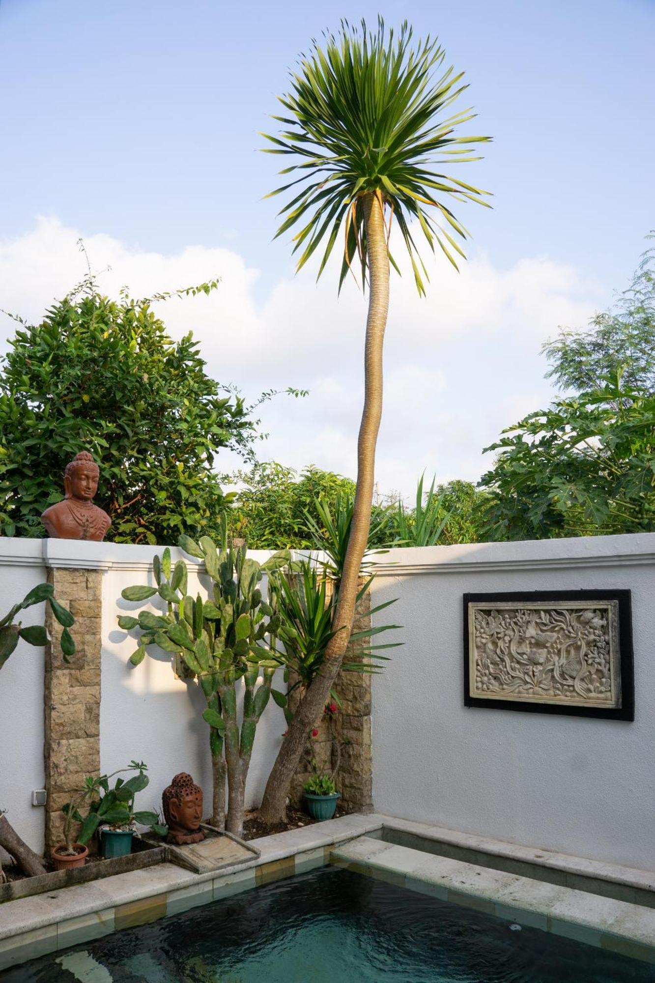 Hills House Villa By Sunnyrent - Jimbaran X Balangan X Gwk Esterno foto