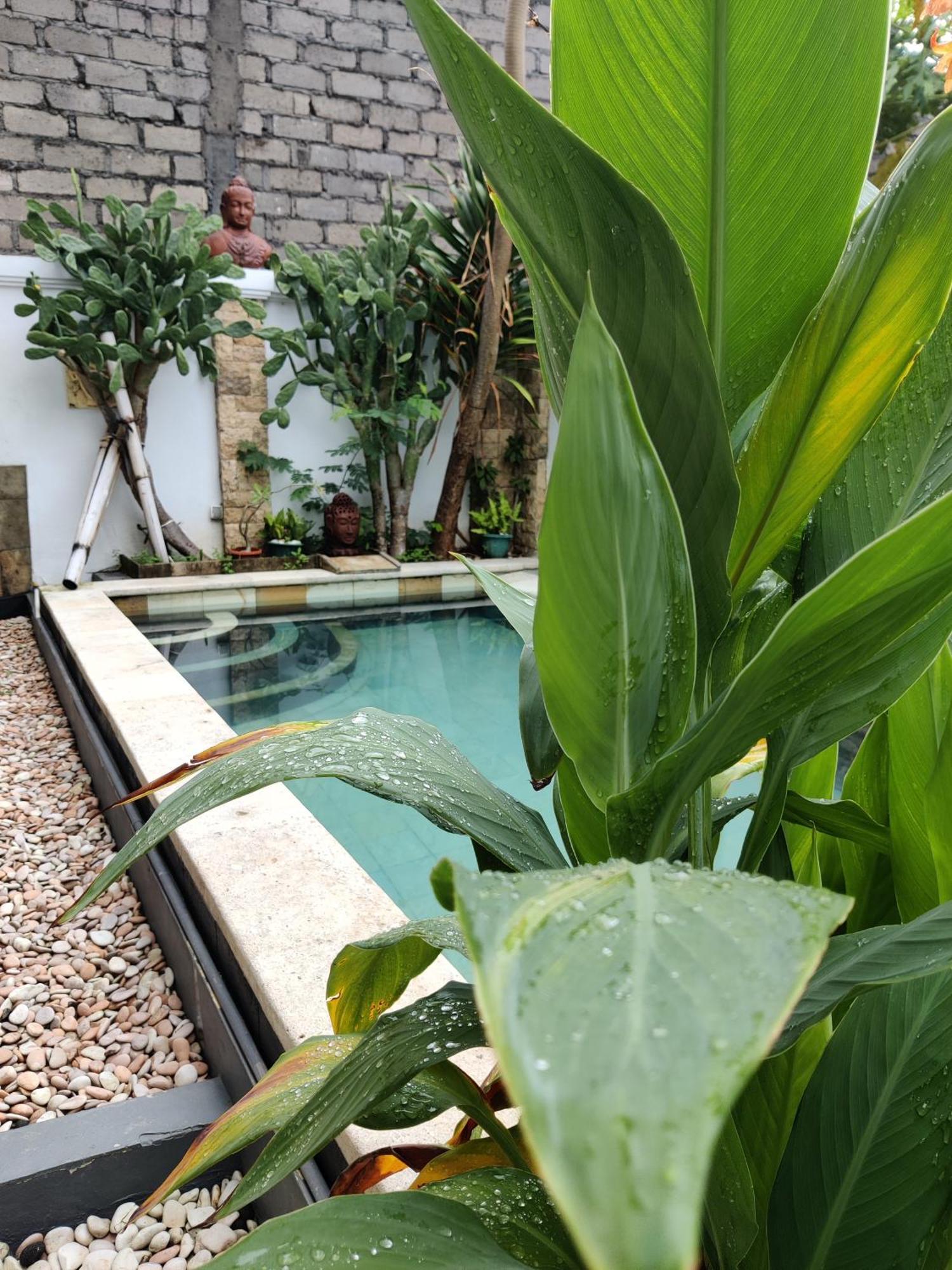 Hills House Villa By Sunnyrent - Jimbaran X Balangan X Gwk Esterno foto